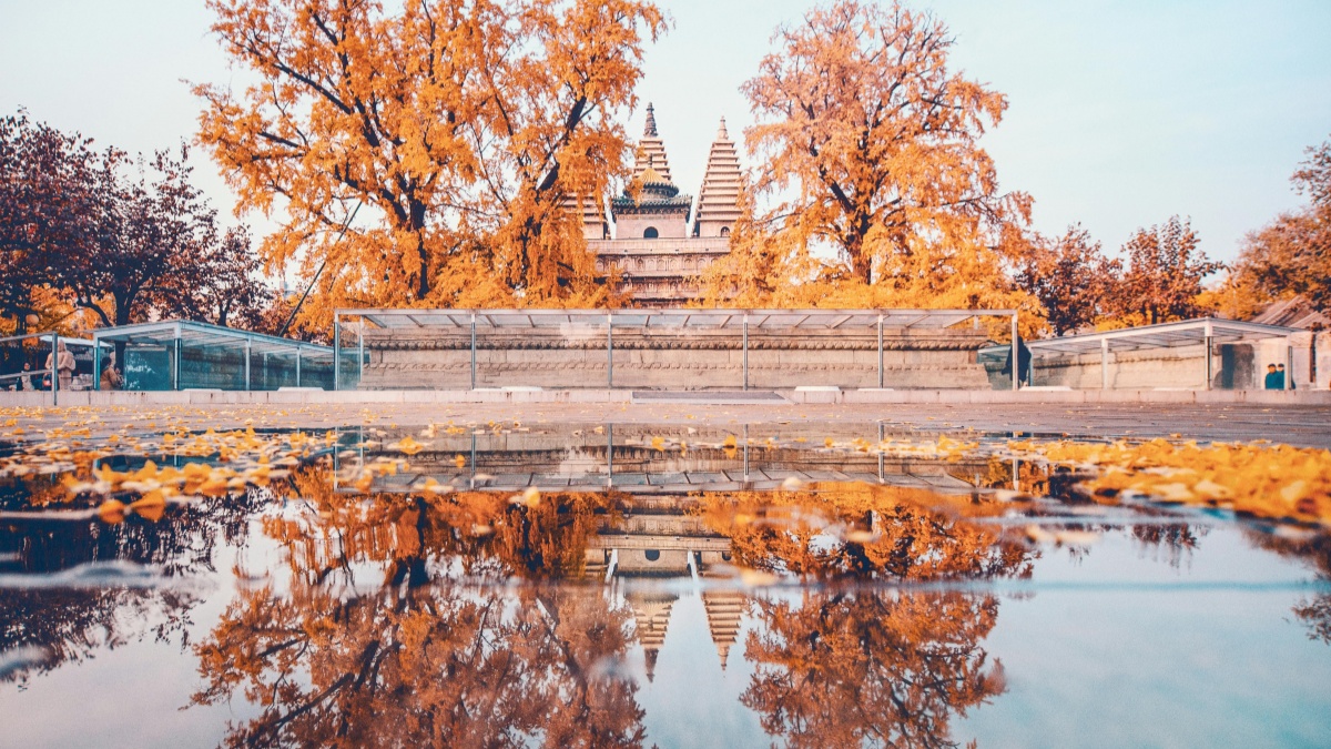 WhatsApp Influencers Pakistan How To Collaborate With South Korea Brands