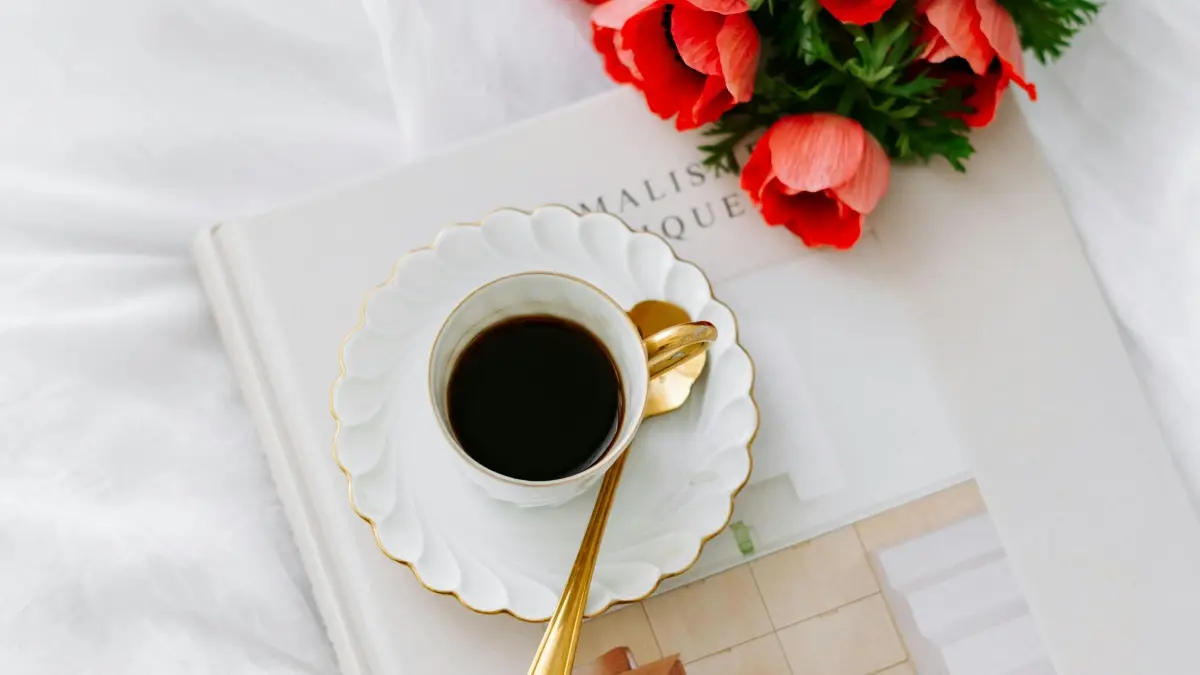 پاکستانی کریئیٹرز کیلئے ترکی برانڈز سے رابطہ